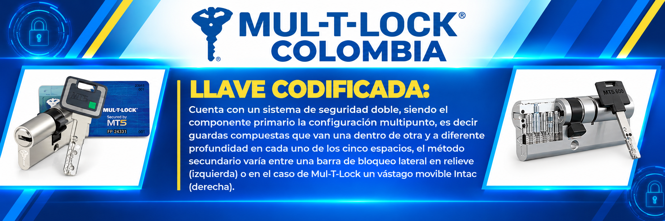 Infografía corporativa sobre llave codificada MT5