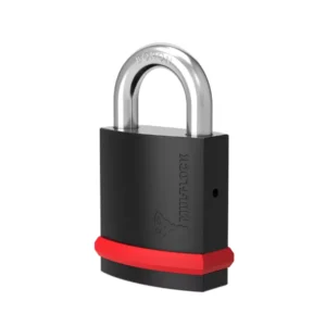 NEG padlock_1x1