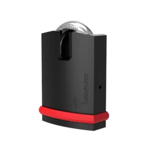 NEH padlock_1x1