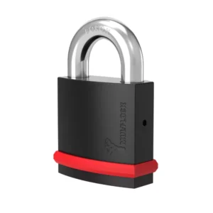 NEL padlock_1x1